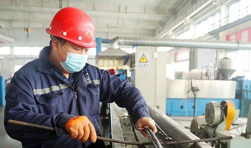 越底層的人越要學(xué)英語(yǔ), 儲(chǔ)殷教授批判血汗工廠, 技工出路在國(guó)外