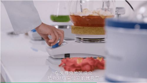 林清軒炮轟香奈兒,紅山茶花之爭究竟是 不正當競爭 還是越級 碰瓷